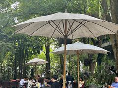 -Fern Forest Cafe