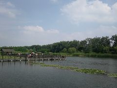 -溱湖国家湿地公园