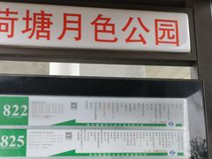 -荷塘月色湿地公园·向阳花洲