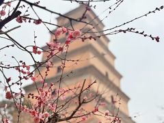 -大慈恩寺(大雁塔)
