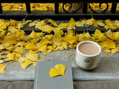 -大小咖啡 BigSmallCoffee(麦子店)