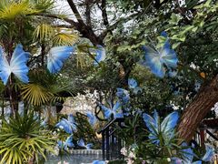 -剑河仰阿莎温泉小镇