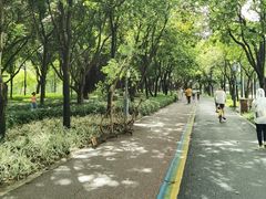 -顺峰山公园
