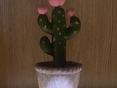 -梵猫·新养生(福州万象城店)