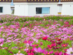 -青海湖二郎剑景区