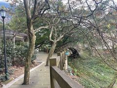 -广州市流溪河国家森林公园