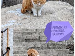 -北京凤凰岭