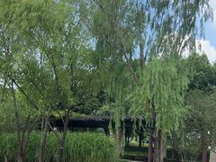 -长广溪湿地公园