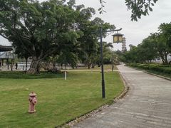 -江心屿景区
