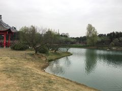 -秀丽东方