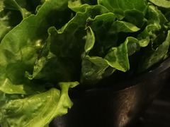 -东椰·海南椰子鸡火锅(朝阳门店)