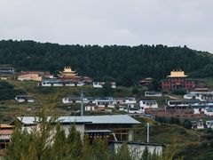 -四川郎木寺镇
