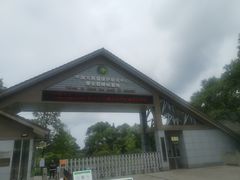 -中国大熊猫保护研究中心雅安碧峰峡基地