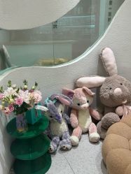 -薇薇安花系SPA