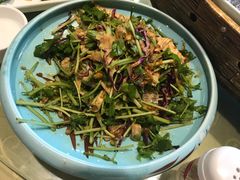 -闻香全驴大宅门