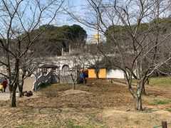 -苏州上方山国家森林公园