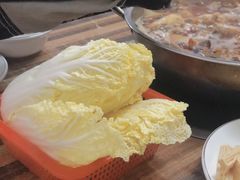 娃娃菜-专业跳跳蛙·彭彭老铺(步行街店)