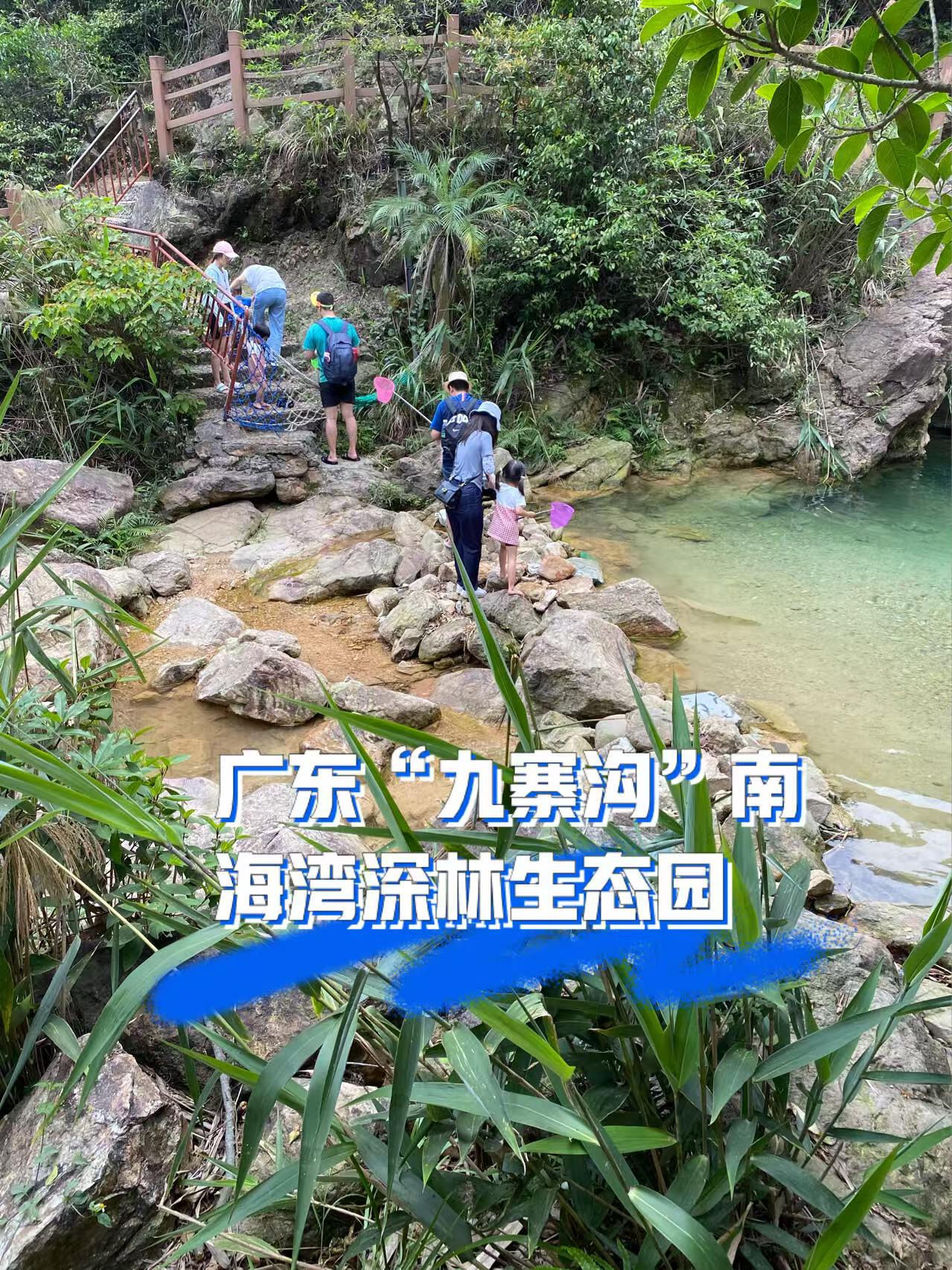 南海湾森林生态园电话图片