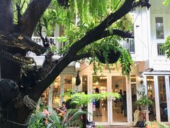 -Fern Forest Cafe
