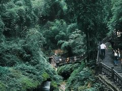 -三峡人家风景区