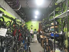 -道路口单车爱瓦士dahon大行