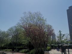 -绿岛公园(滨海新区)