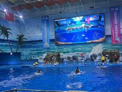 -多彩贵州城极地海洋世界