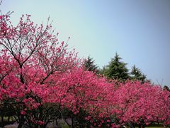 -白塘生态植物园