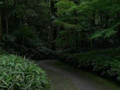 -云栖竹径