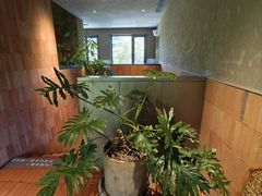 -一坐一忘云南菜(三里屯店)