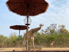 -济南野生动物世界