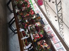 -荷兰花海