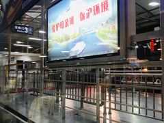 -海河游船-永乐码头(大悲院)