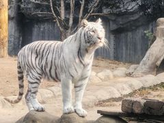 -常州淹城野生动物世界