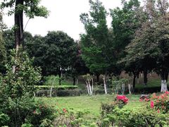 -飞来湖湿地公园