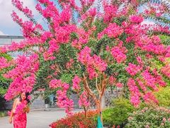 -杭州城北体育公园