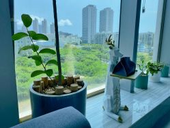 -MJ skin care国际皮肤管理中心