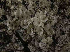 -龙美术馆西岸馆-停车场