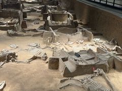 -洛阳周王城天子驾六博物馆