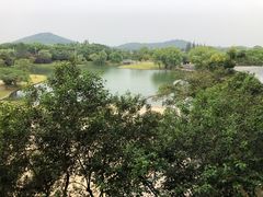 -上海佘山世茂艾美酒店