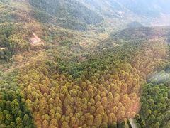 -南岳衡山风景名胜区
