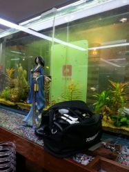 android_upload_pic-小左美发