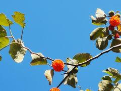 -鬼笑石后山停车场