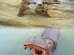 -杭州野生动物世界