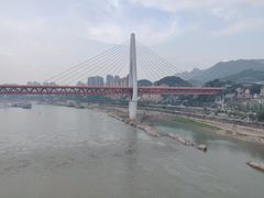 -石灰市毛记烧鸡公(解放碑店)