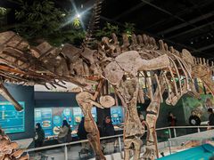 -国家自然博物馆