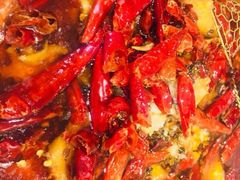 -熊猫川菜馆 panda chine