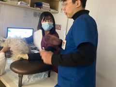 -艾贝尔宠物医院 ·中兽医·宠保定点(北门桥店)