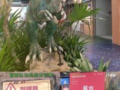 -正佳自然科学博物馆