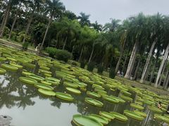 -中国科学院西双版纳热带植物园